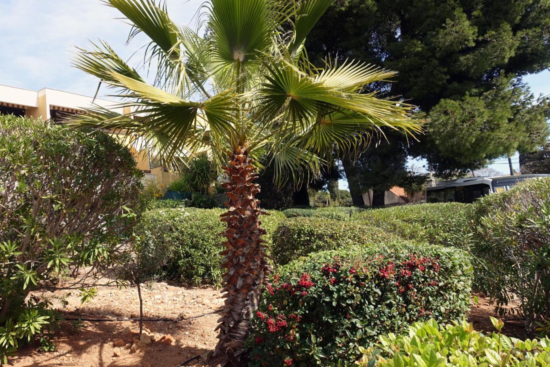 Les Jardins De Bandol, Piscine Privee, Belle Vue Mer Exterior foto